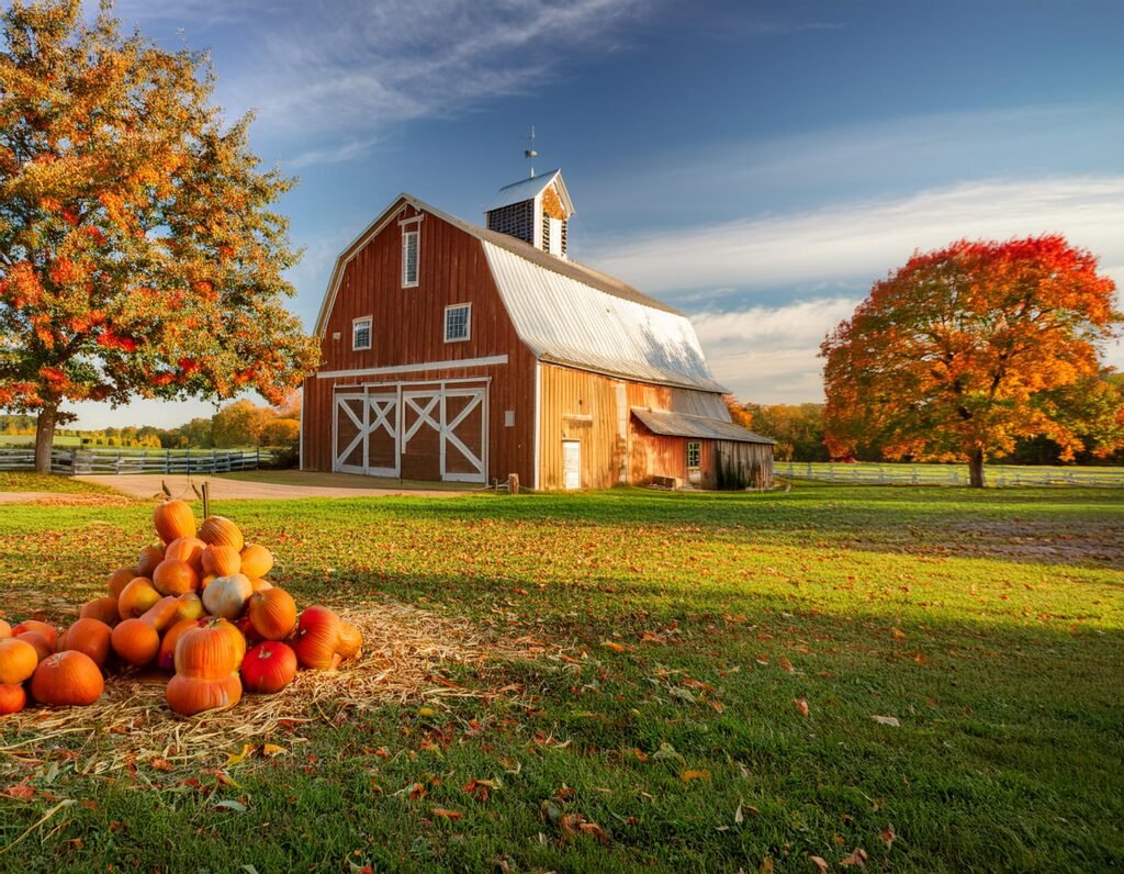 Autumn in Wisconsin: the Soothing and Refreshing Season that Makes You Stay