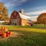 Autumn in Wisconsin: the Soothing and Refreshing Season that Makes You Stay